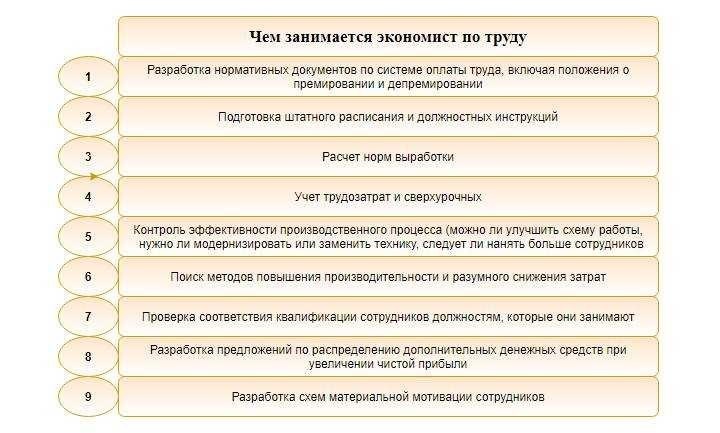 Должностная инструкция экономиста обязанности требования структура работы