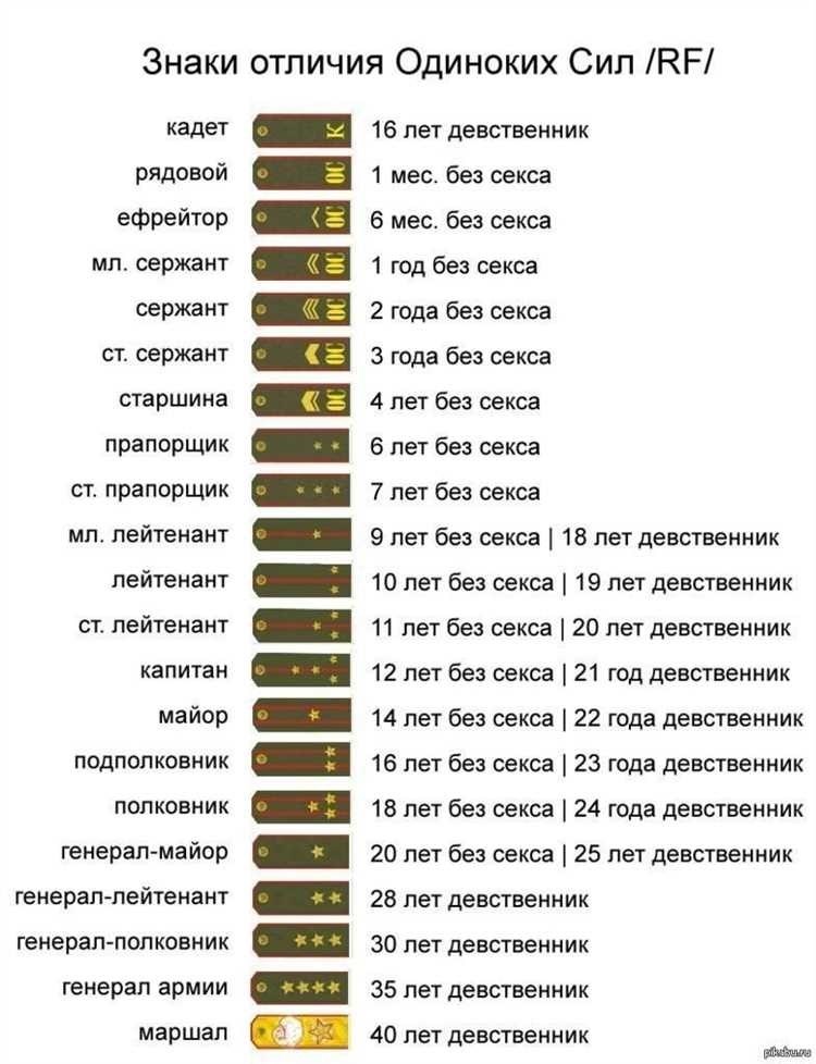 Стать прапорщиком контрактной службы эффективные пути получения звания