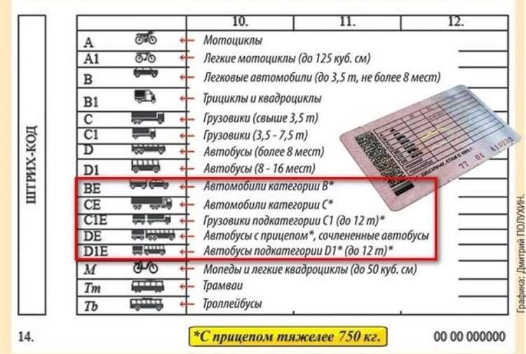 Стоимость обучения на права цены и условия вождения в городе